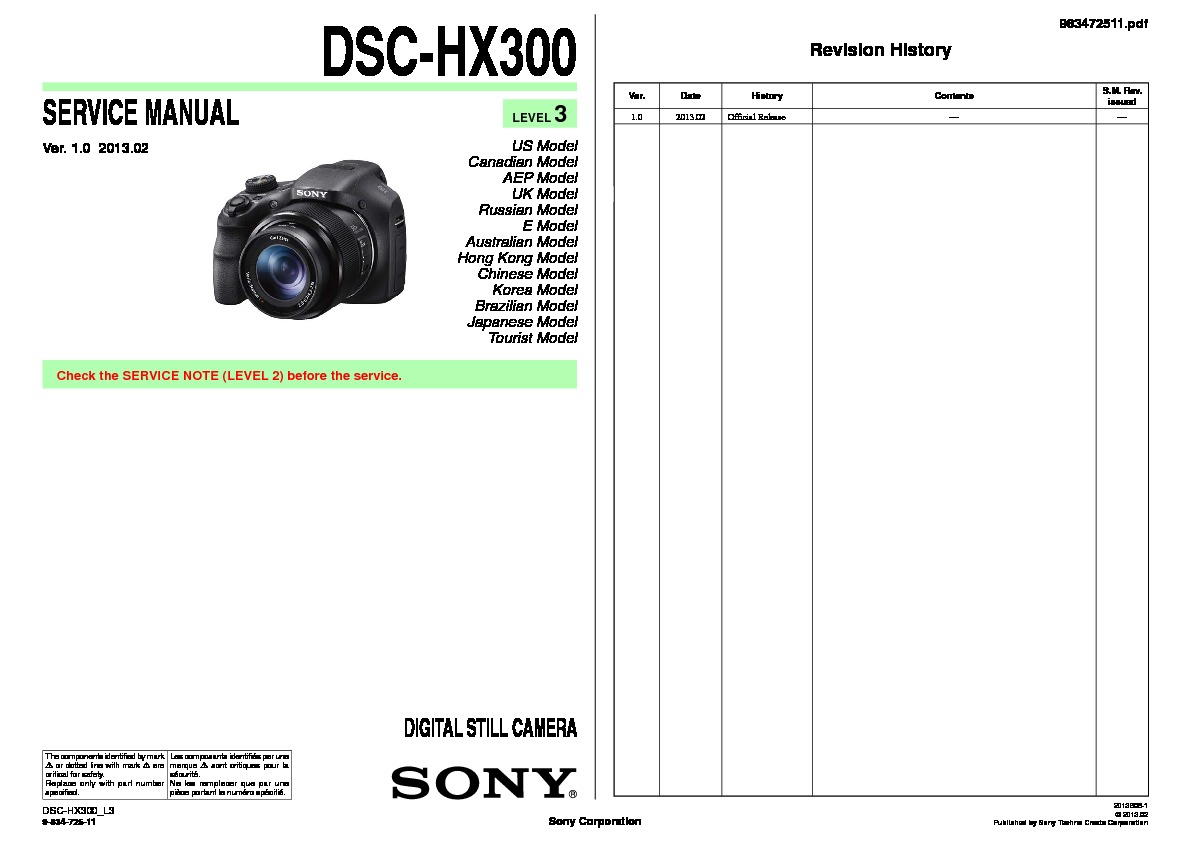 Sony dsc 300 manual